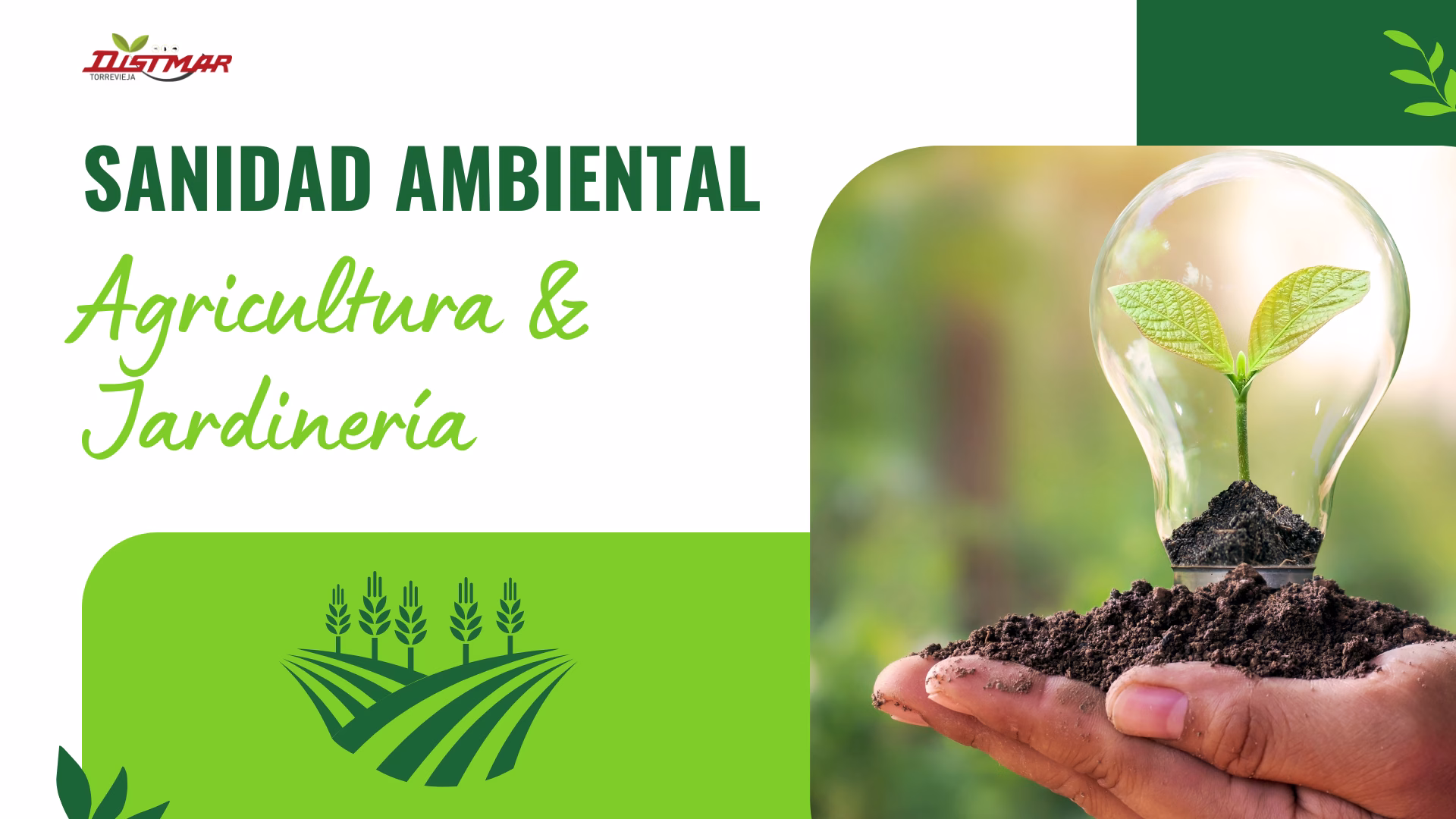 DISTMAR Torrevieja - Sanidad ambiental - Agricultura y jardinería